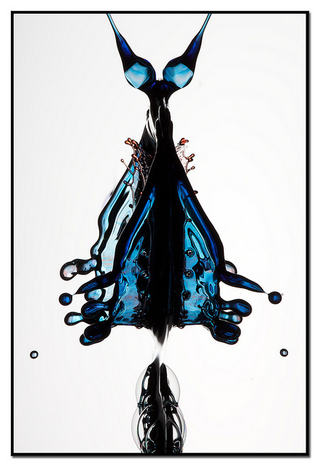 Illustration for article titled Photographs That Make a Huge Splash